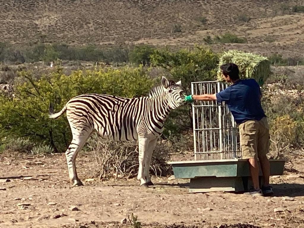 Aardvark Bioreserve Ladismith Zewnętrze zdjęcie